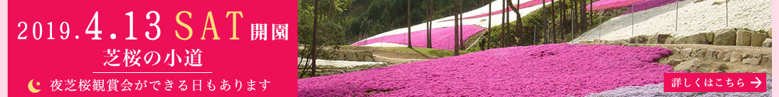 芝桜 バナー