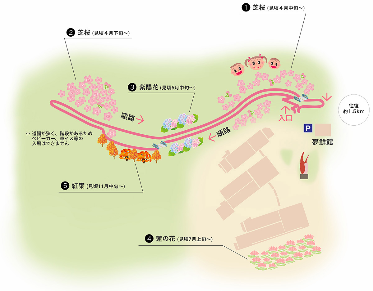芝桜散策MAP
