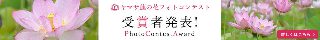 蓮の花フォトコンテスト受賞者発表
