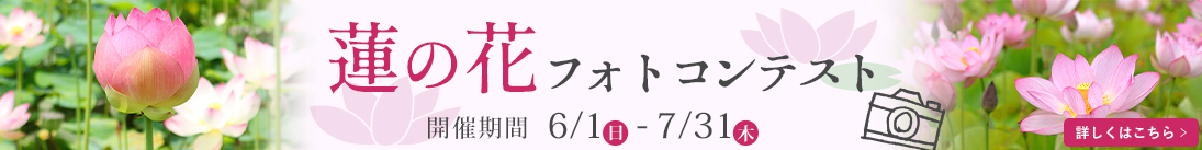 蓮の花フォトコンテスト受賞者発表