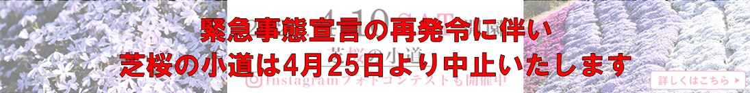 YouTubeリンクバナー