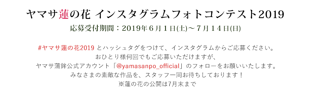 ヤマサ蓮の花 インスタグラムフォトコンテスト