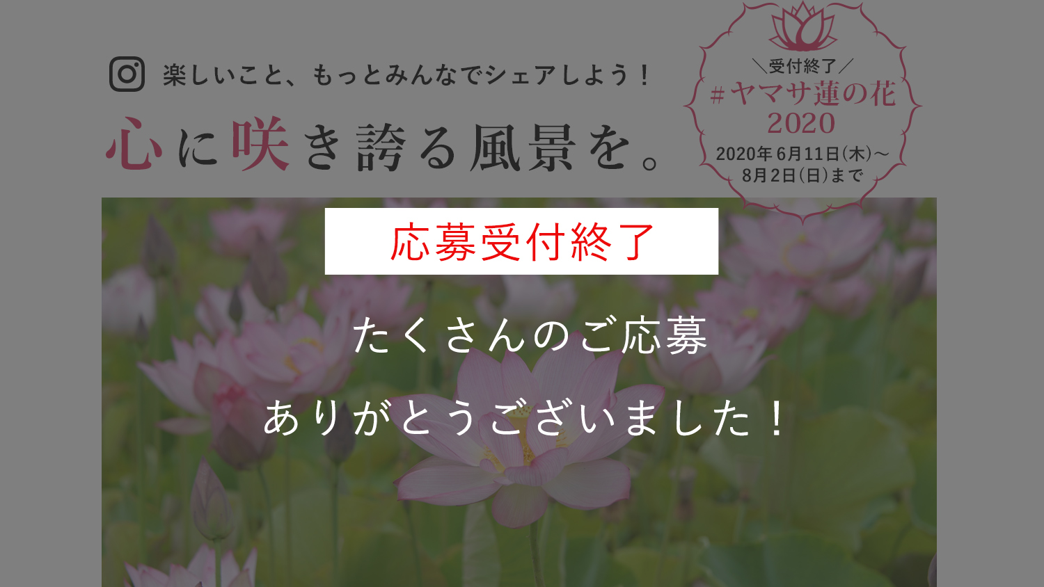 ヤマサ蓮の花 インスタグラムフォトコンテスト