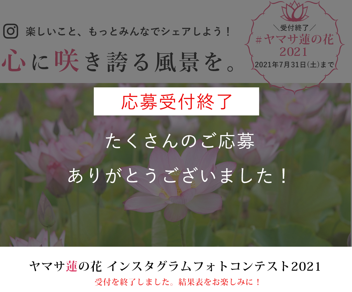 ヤマサ蓮の花 インスタグラムフォトコンテスト