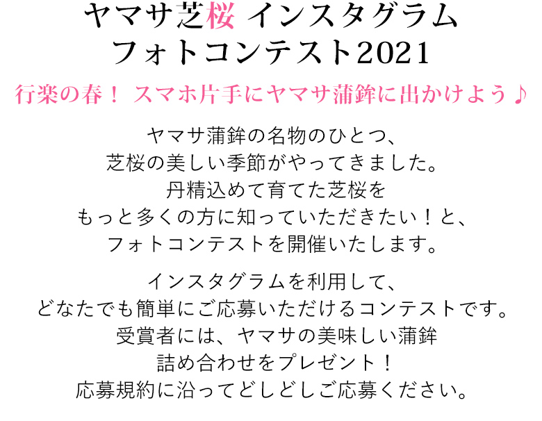 ヤマサ芝桜 インスタグラムフォトコンテスト