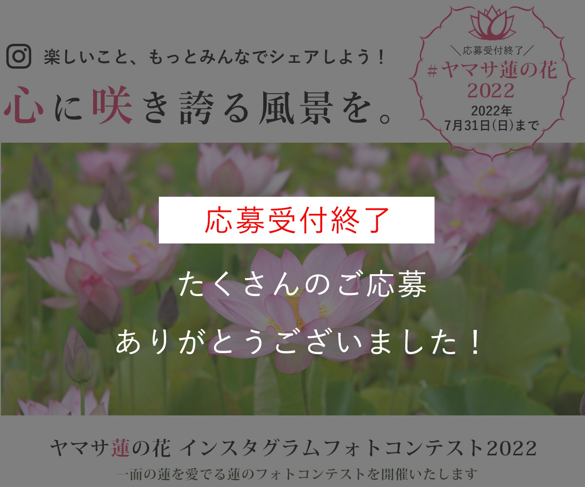 ヤマサ蓮の花
                            インスタグラムフォトコンテスト