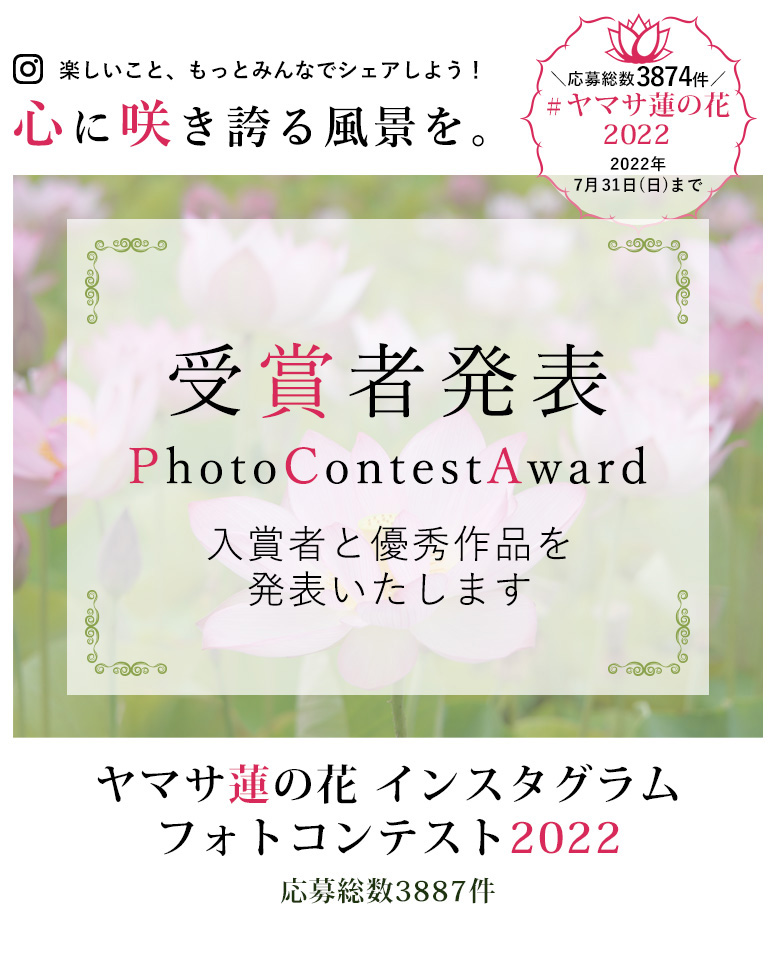 ヤマサ蓮の花 インスタグラムフォトコンテスト