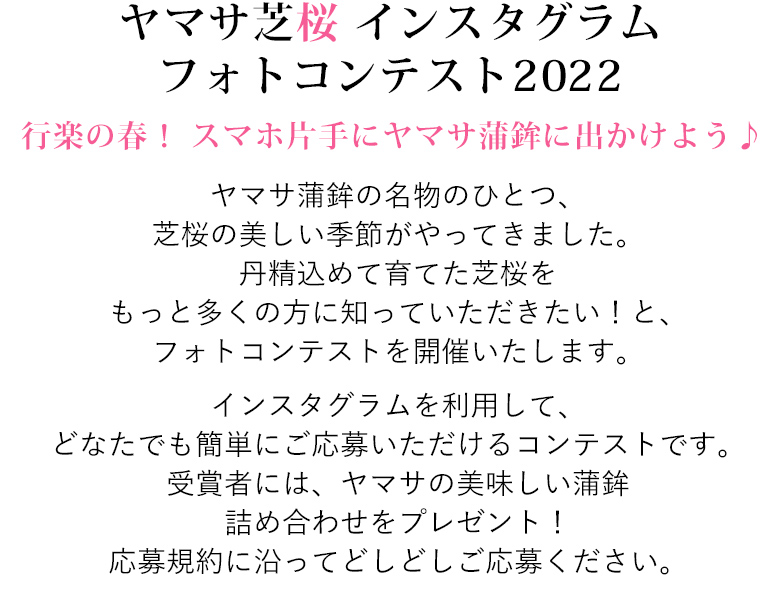 ヤマサ芝桜 インスタグラムフォトコンテスト