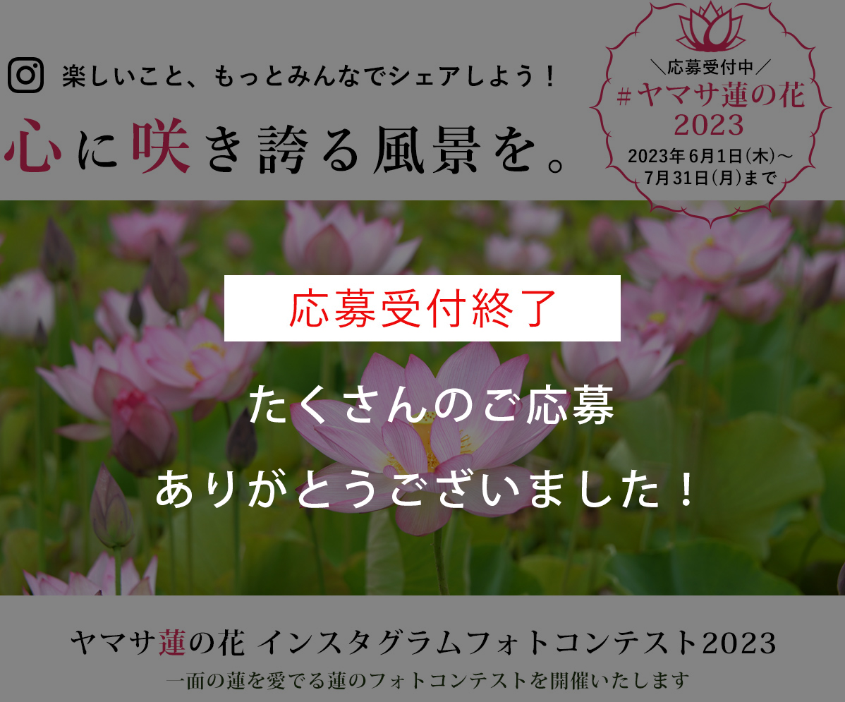 ヤマサ蓮の花
                            インスタグラムフォトコンテスト