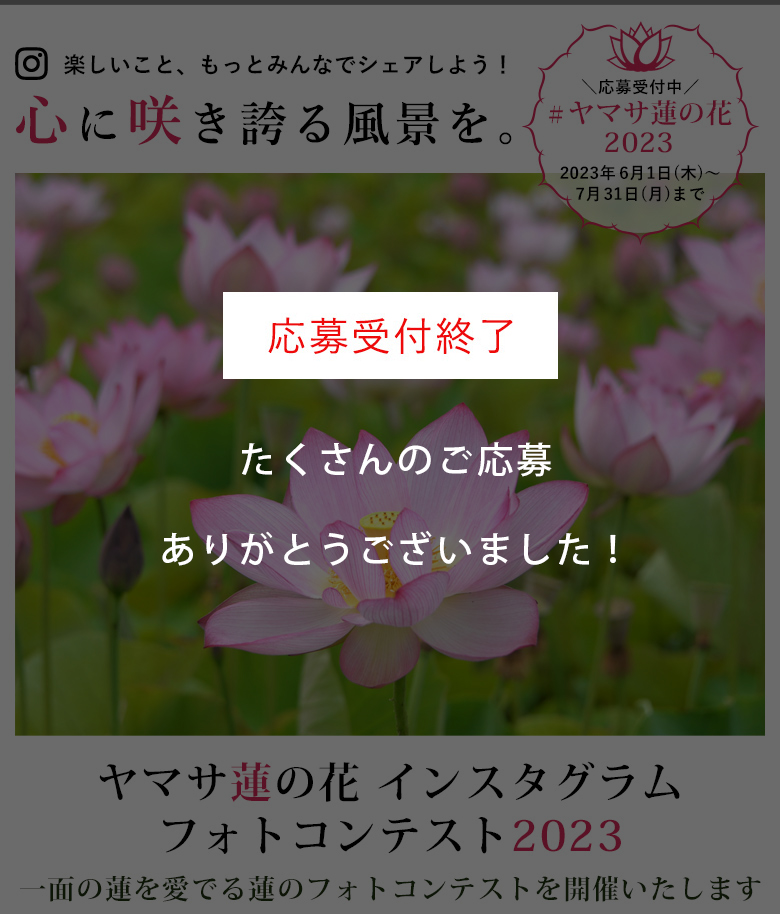 ヤマサ蓮の花
                            インスタグラムフォトコンテスト