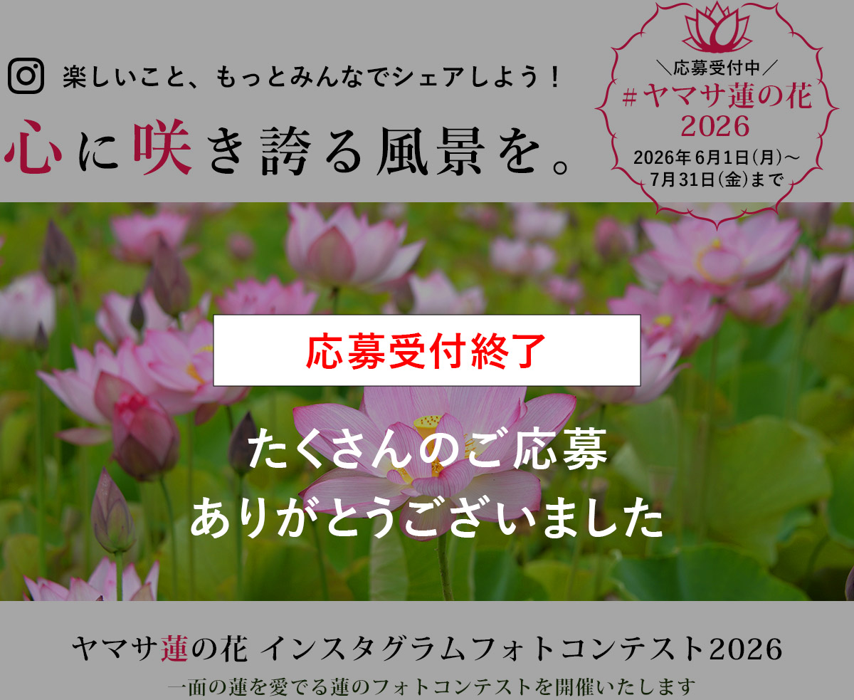 ヤマサ蓮の花
                            インスタグラムフォトコンテスト