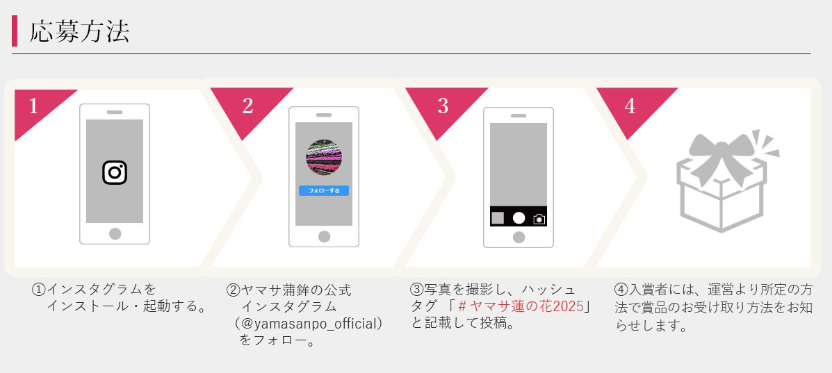 ヤマサ蓮の花
                            インスタグラムフォトコンテスト