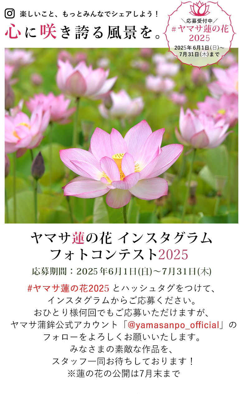 ヤマサ蓮の花
                            インスタグラムフォトコンテスト