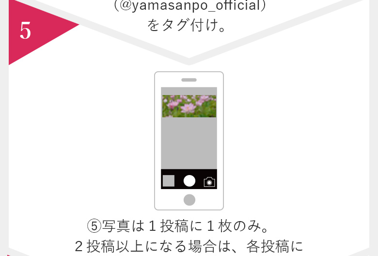 ヤマサ蓮の花
                            インスタグラムフォトコンテスト