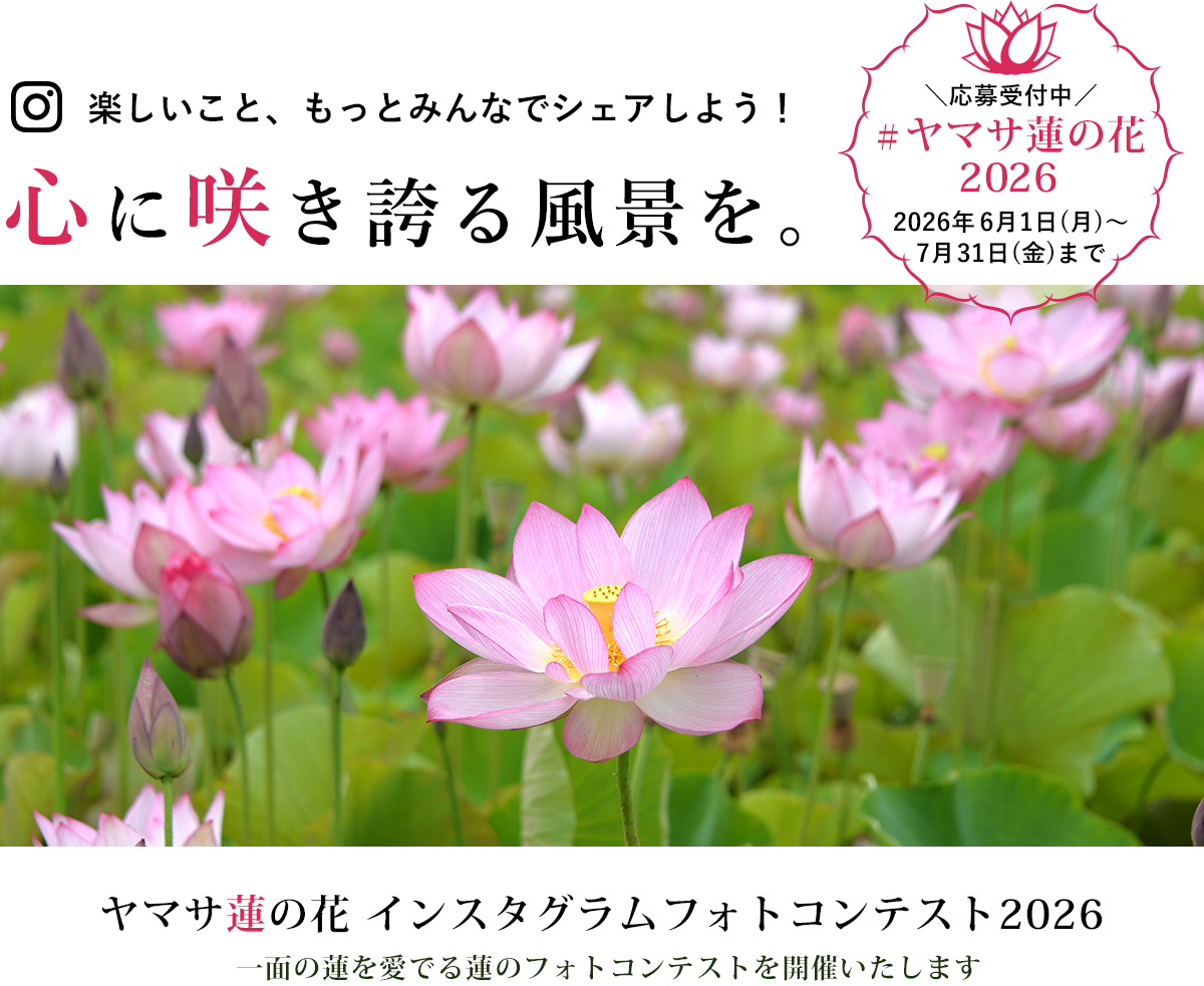 蓮の花苑｜ヤマサ蒲鉾株式会社