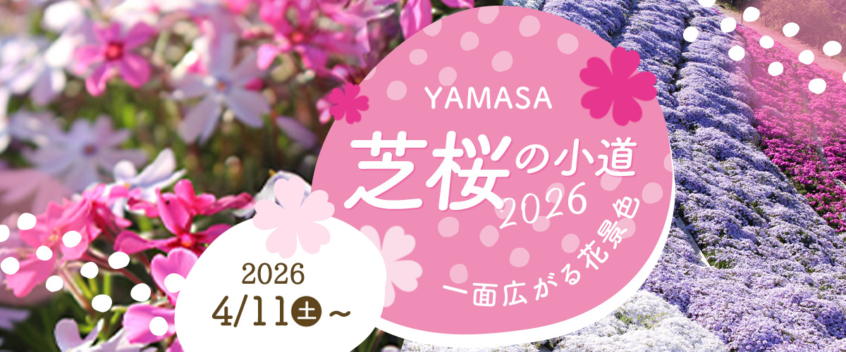 ヤマサ蒲鉾株式会社 芝桜の小道