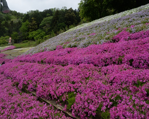 入り口写真