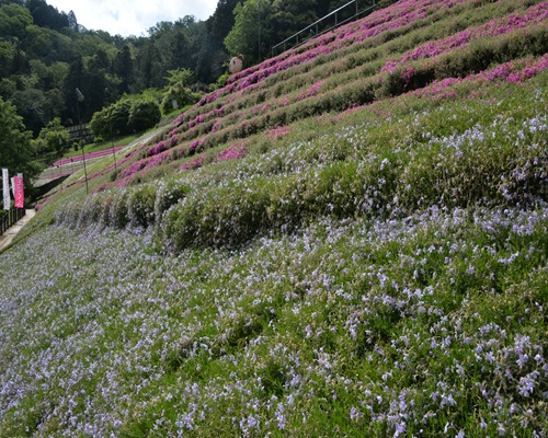 入り口写真