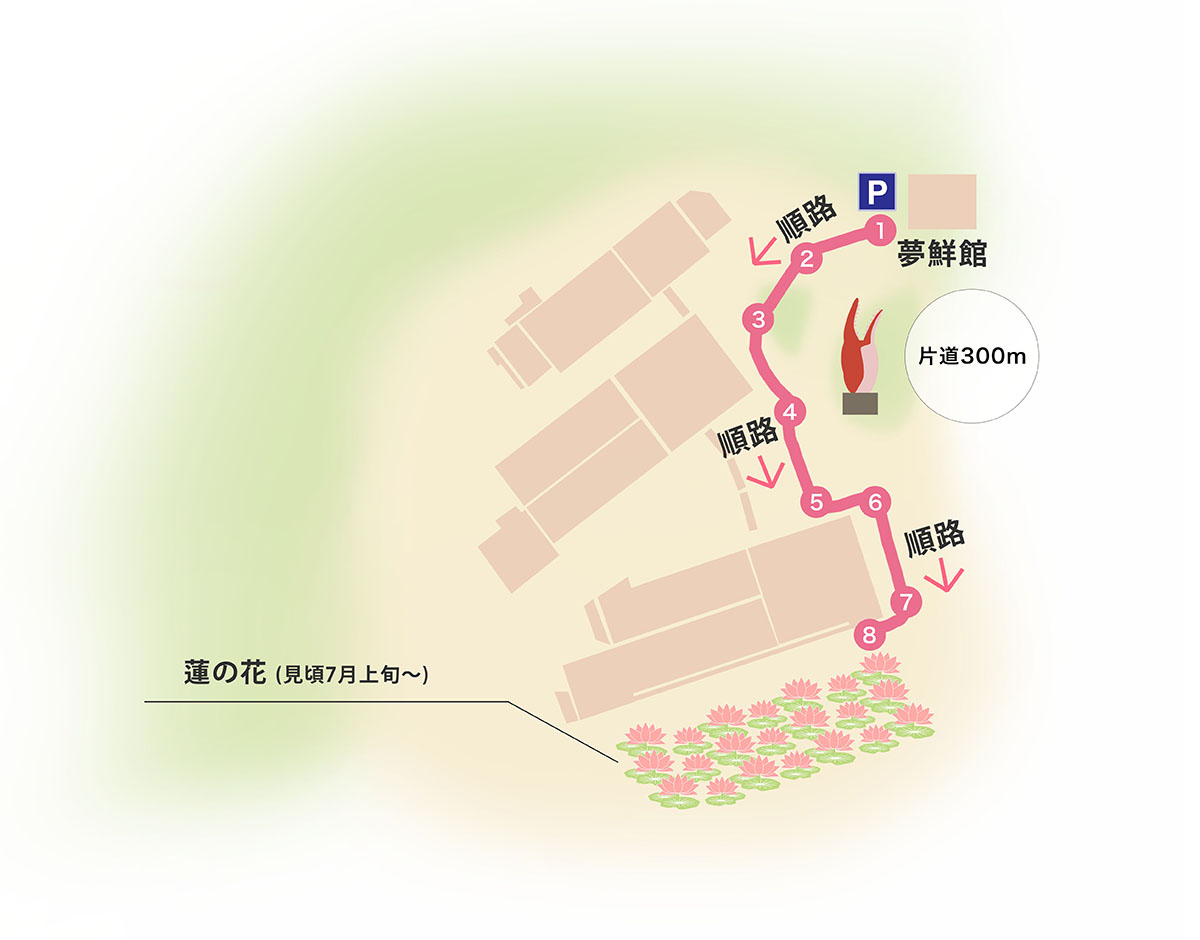 蓮の花散策MAP