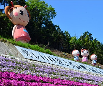 ヤマサ蒲鉾株式会社 芝桜の小道 ギャラリー