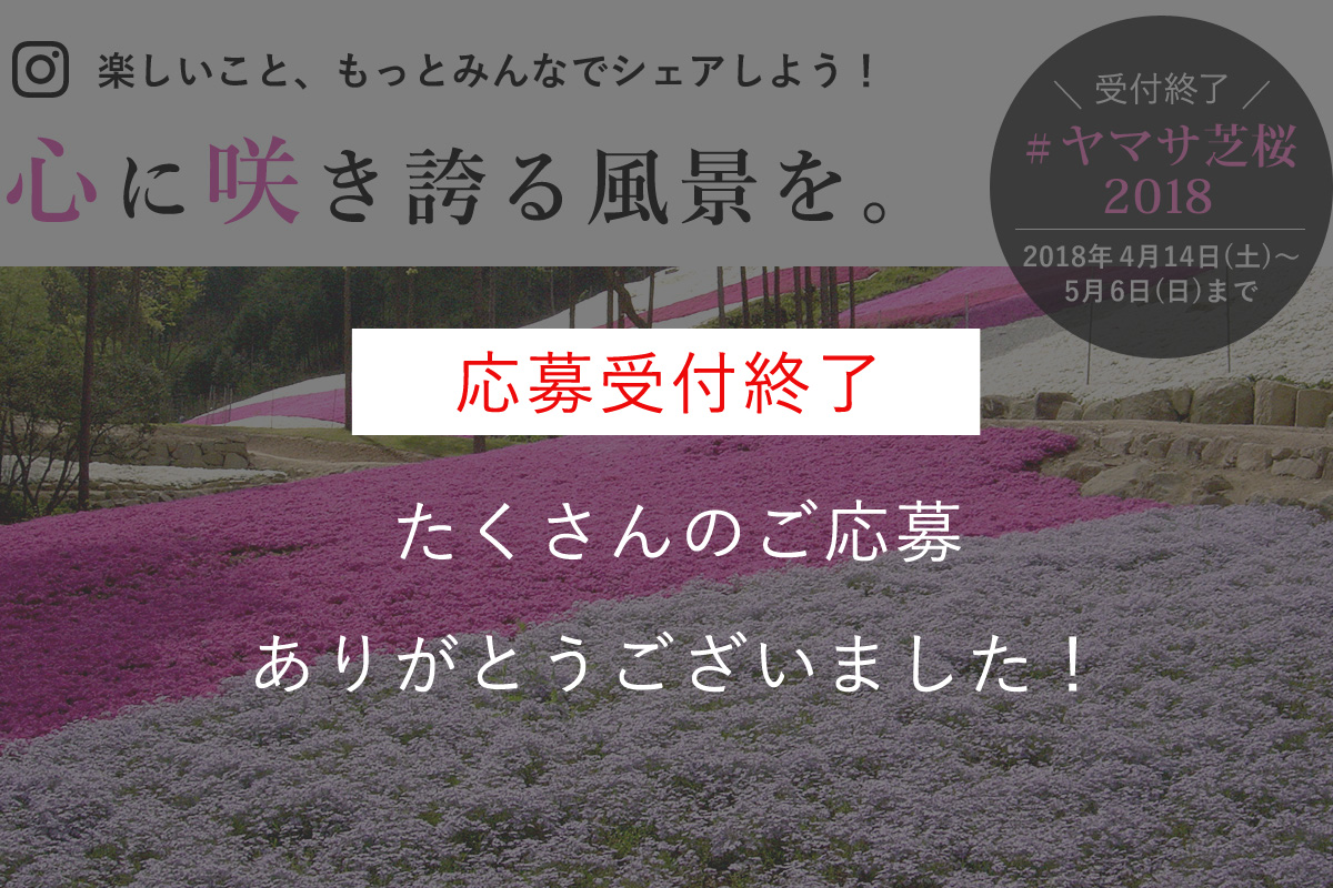 ヤマサ芝桜 インスタグラムフォトコンテスト