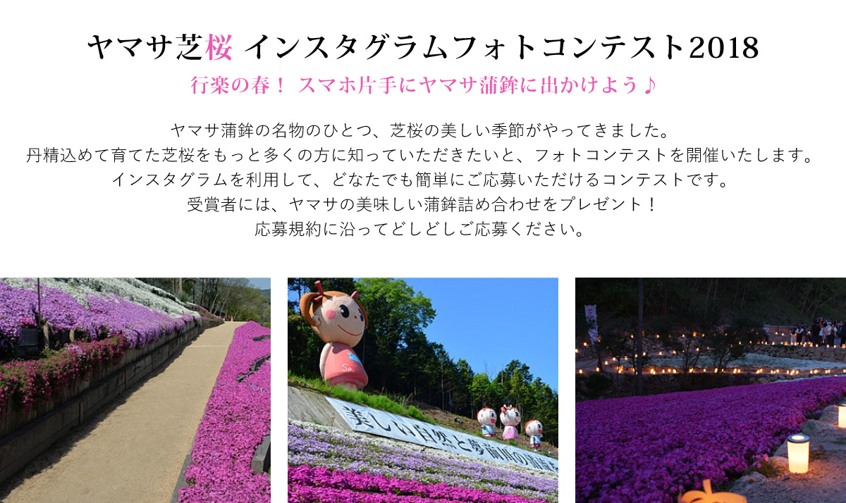 ヤマサ芝桜 インスタグラムフォトコンテスト