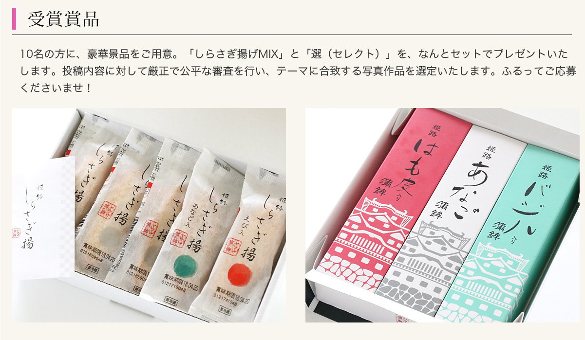 ヤマサ芝桜 インスタグラムフォトコンテスト