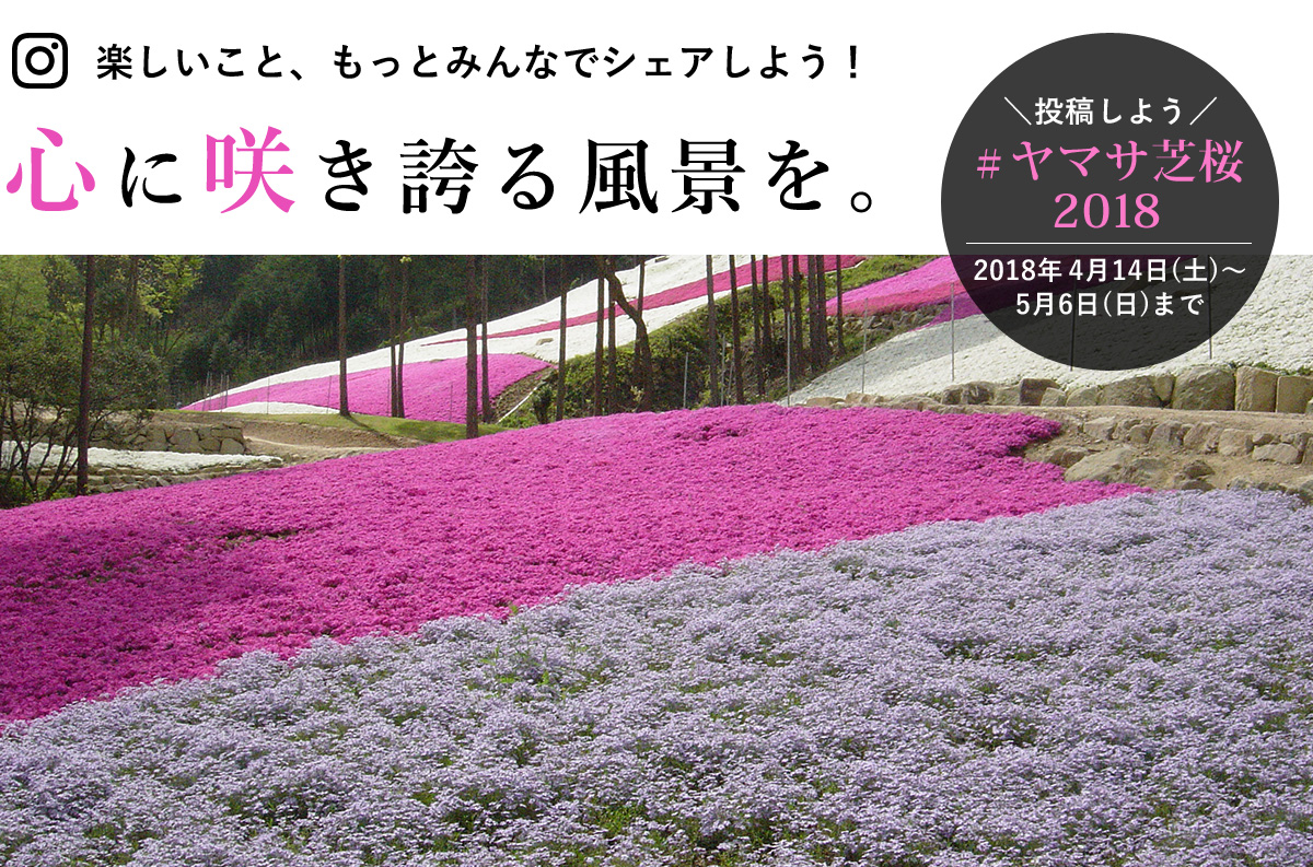 ヤマサ芝桜 インスタグラムフォトコンテスト
