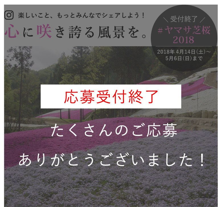 ヤマサ芝桜 インスタグラムフォトコンテスト