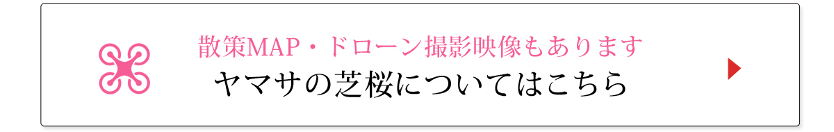 ヤマサ芝桜 インスタグラムフォトコンテスト