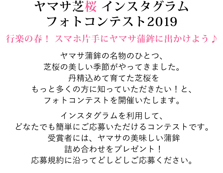 ヤマサ芝桜 インスタグラムフォトコンテスト