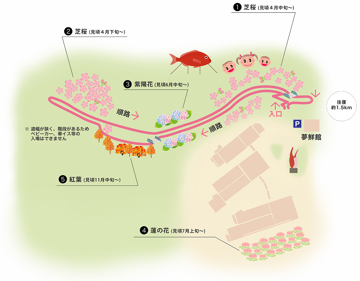 芝桜の小道 ヤマサ蒲鉾株式会社 芝桜の小道 ヤマサ蒲鉾株式会社