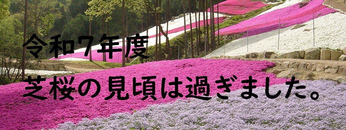 ヤマサ蒲鉾株式会社 芝桜の小道